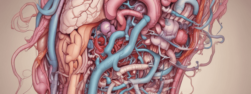 Patología Digestiva 4º Medicina: Tumores de Intestino Delgado