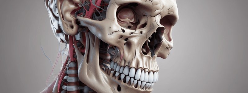 Le Fort III Maxillary Fracture Evaluation Quiz