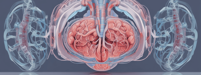 Diagnostic Techniques in Medical Imaging