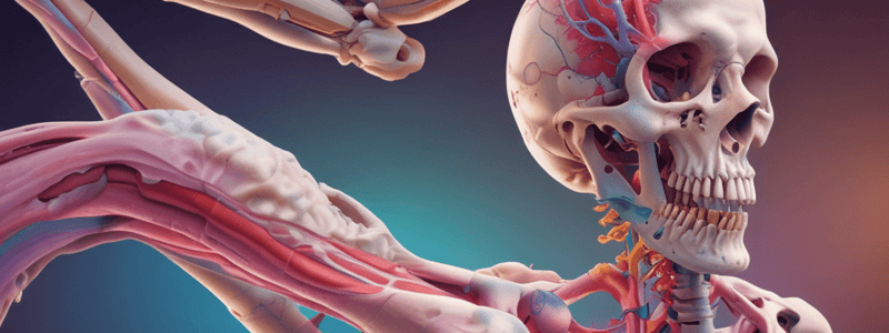 Pyogenic Osteomyelitis Overview