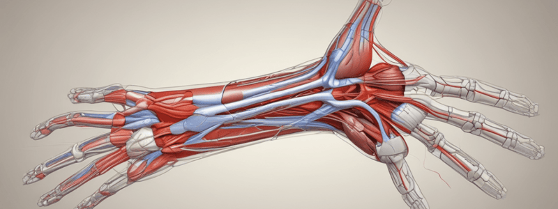 Ninja Nerd - Circulatory System | Arteries of the Upper Limb | Flow Chart