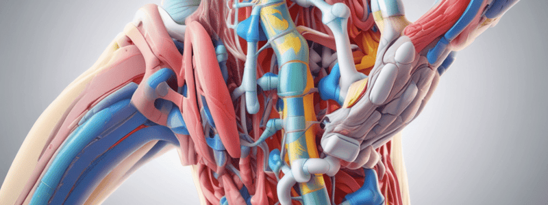 Joint Structure and Function in Physiotherapy