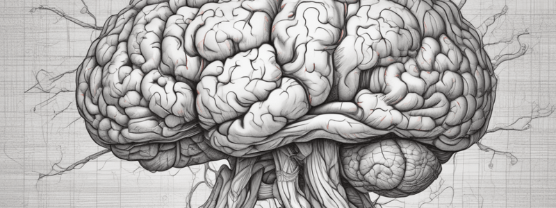 The Telencephalon: Cerebral Cortex and Basal Ganglia