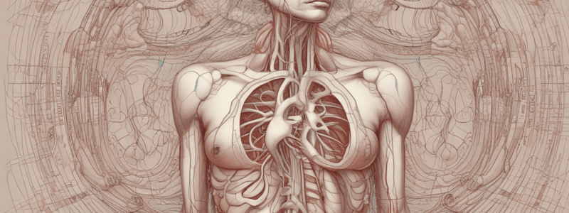 Lecture 3.2 - Fetal circulation