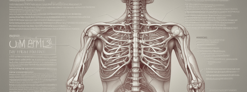 Musculoskeletal Disorder Pharmacology Quiz