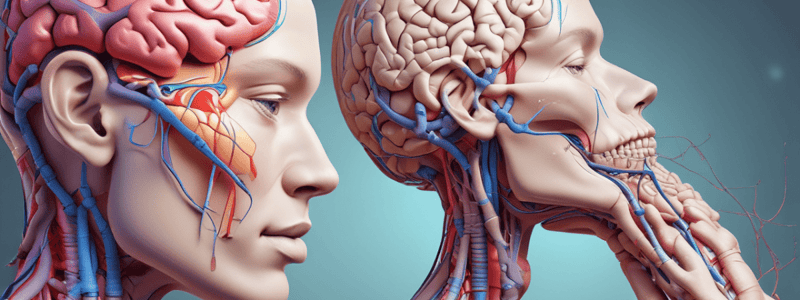 Neurologic Assessment