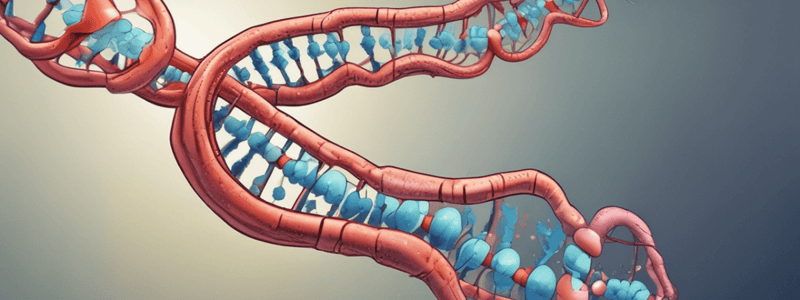 Chromosomal Abnormalities Lecture