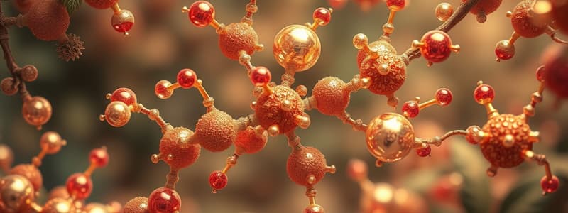 Biological Macromolecules Overview