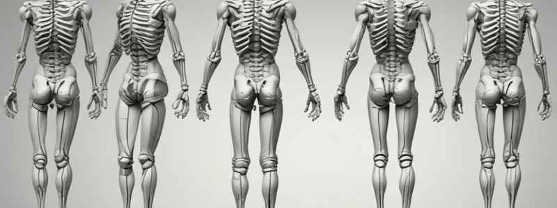 Spinal and Lower Limb Deformities Quiz