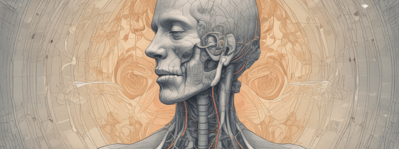 Respiratory System: Structure, Function, and Clinical Correlations