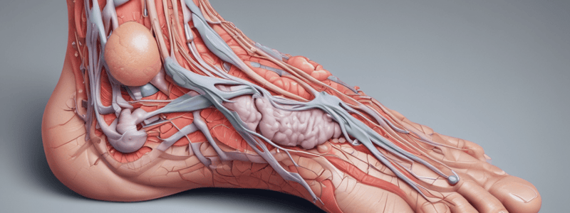 Common Integument and Skin Appendages