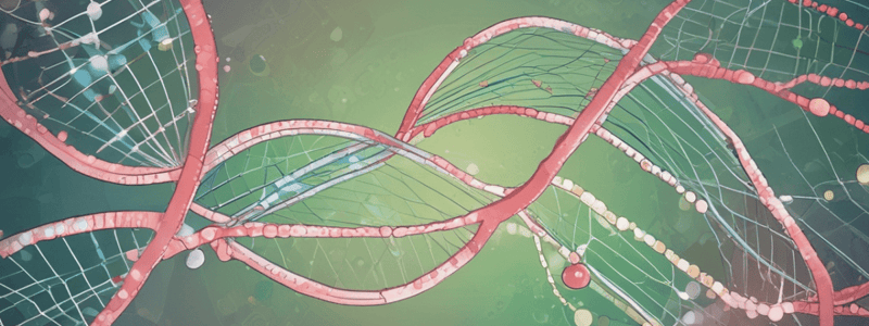 RNA and Protein Synthesis