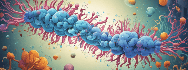 Ribonucleotide Reductase Enzyme Function