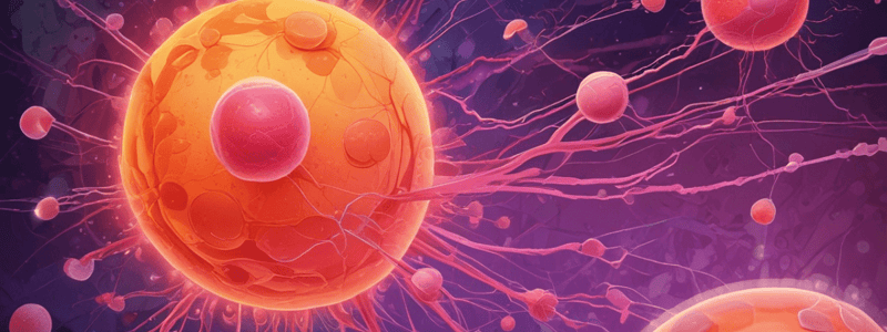 Acute Promyelocytic Leukemia (APL) Pathogenesis