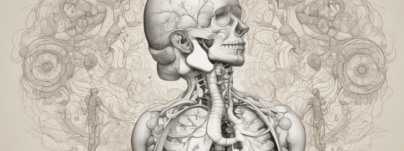 Anatomy Respiratory System # 18 Q