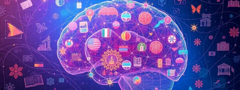 Connection Between Brain and Language