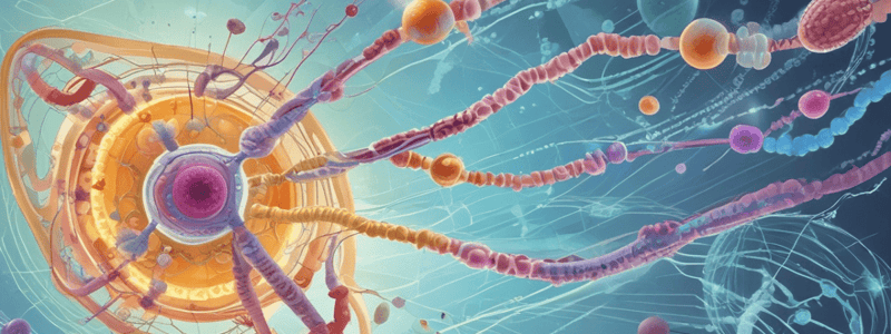 Prokaryotic Gene Regulation Mechanisms