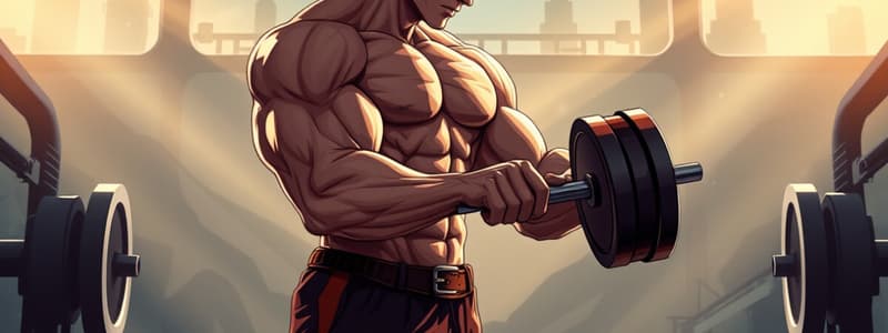 Exploring Muscular Fitness Exercises Quiz