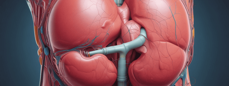 The Urinary System Chapter 25.1: Physical Characteristics of Urine