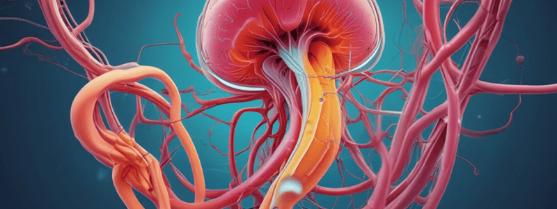 Anatomy of the Nephron and Urine Analysis