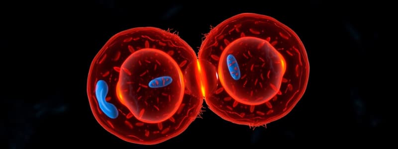 Cell Division: Mitosis, Meiosis and Gametogenesis