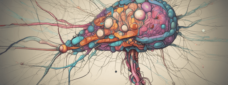 Pharmacology of the Central Nervous System Quiz