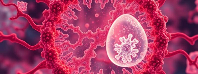 Cell Biology: Chromosome Structure & Cell Cycle