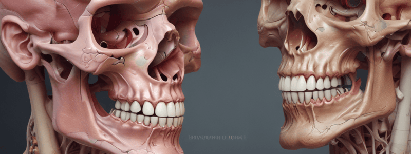 Oral Pathology: Alveolar Bone and Process