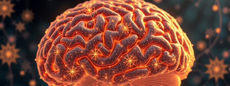 Brain Structure and the Golgi Technique