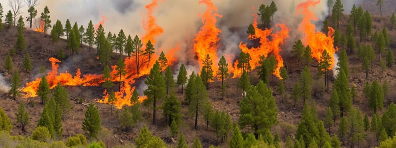 TEMA 6. Incendios Forestales: Factores, Tipos de fuego, Extinción y Tácticas.