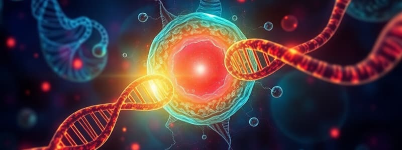 Eukaryotic Cell Nucleus