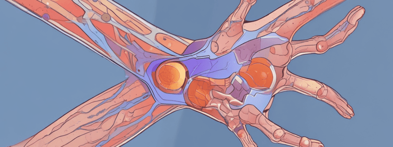 Rheumatoid Arthritis Pathophysiology