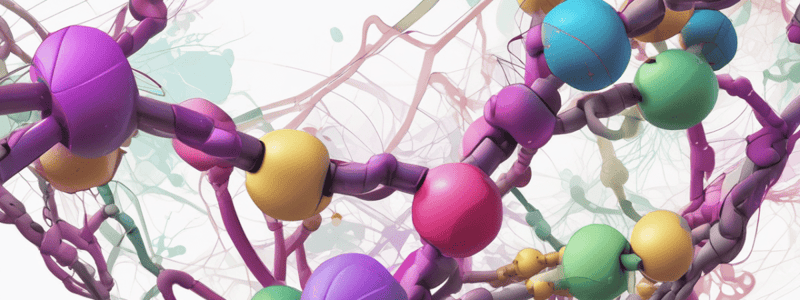 Branched Chain Amino Acids Metabolism