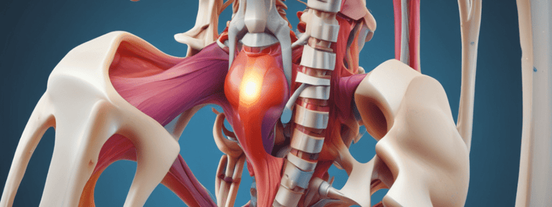 Paula Moleirinho Alves: Sacroiliac Joint Stabilization