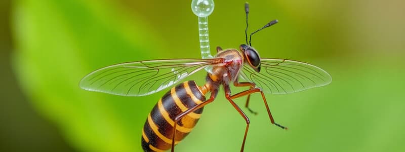 Gas Exchange in Insects and Humans