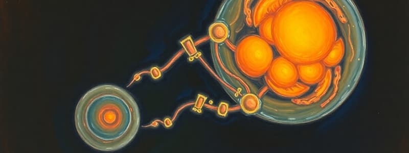 Transport of Oxygen & Carbon Dioxide