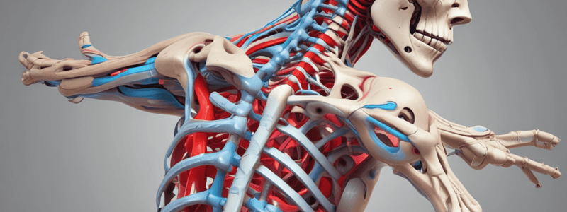 Spine Movements and Shear Forces Quiz