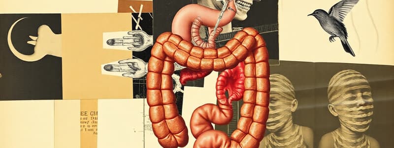 Digestive Systems Quiz