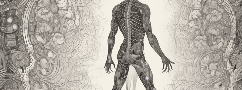 Somatosensory Pathways and Signals