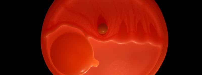 Embryology Overview: Early Development