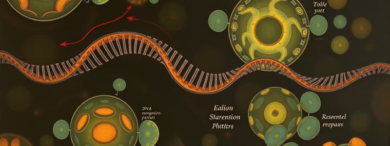 Regulation of the Cell Cycle and Checkpoints