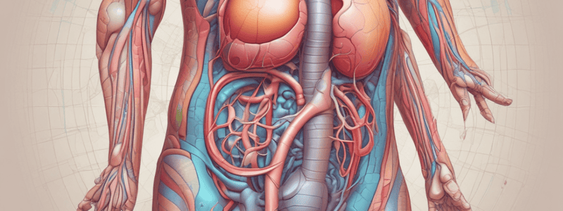 Urinary System Overview