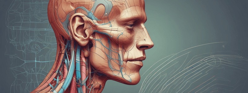 Amplification of Sound Waves in the Ear