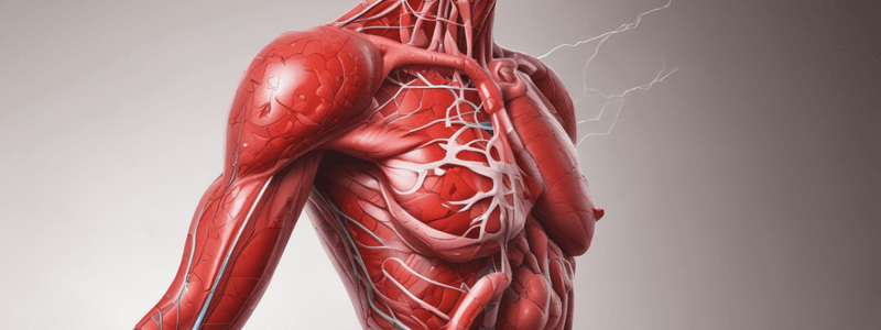 Hemostasis and Inflammation Phase