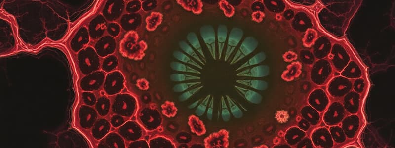 Cytology Chapter 5.1: Cell Structure and Function