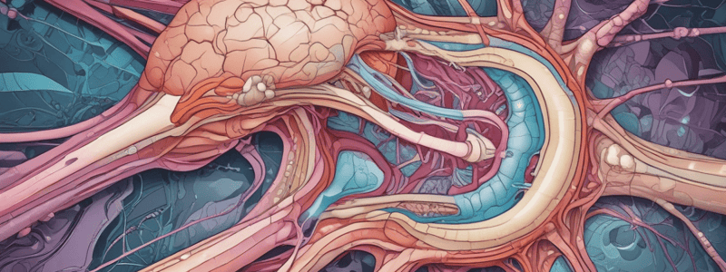 Anatomy of the Optic Nerve Head Quiz