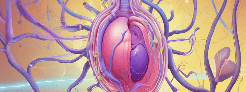 Human Physiology: Urine Production Processes