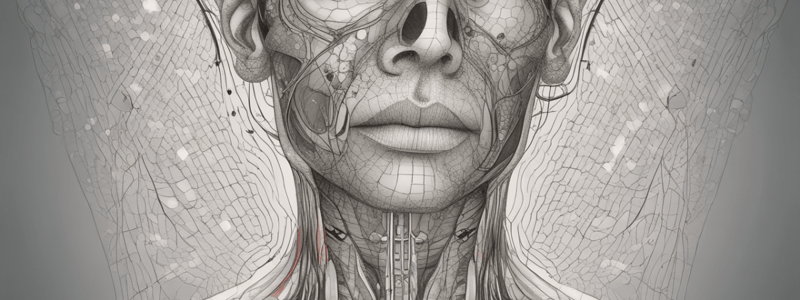 Respiratory System Anatomy: Nose Function and Structure