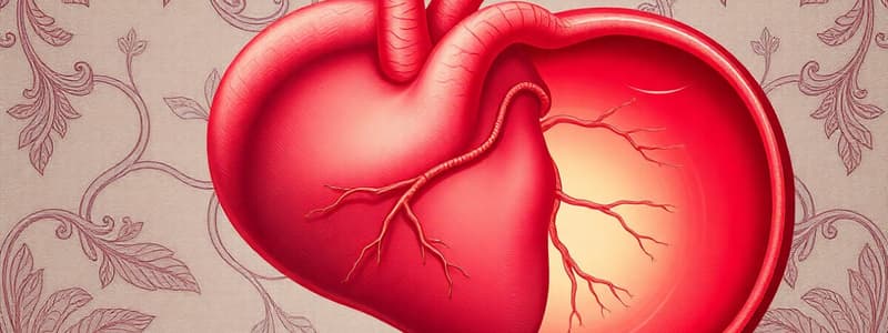 Fetal Circulation