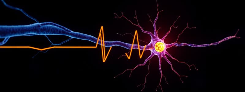 Nerve Impulse & Neuron Structure